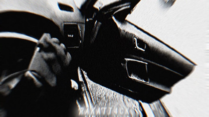 Brenton Tarrant Schizophrenic Edit