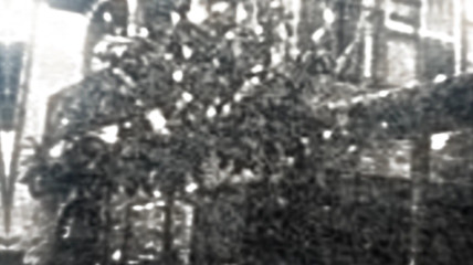 Junko Furuta killers edit